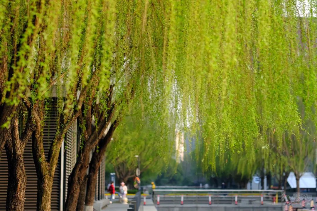 跨境电商出口海外仓出口退（免）税操作指引公布